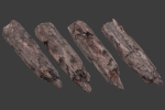 Scanned Logs Planks Sticks and Stumps