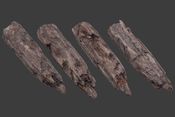 Scanned Logs Planks Sticks and Stumps
