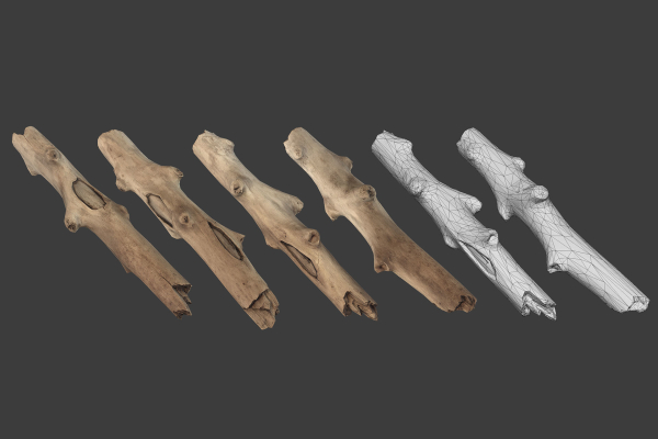 Scanned Logs Planks Sticks and Stumps