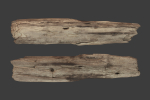Scanned Logs Planks Sticks and Stumps