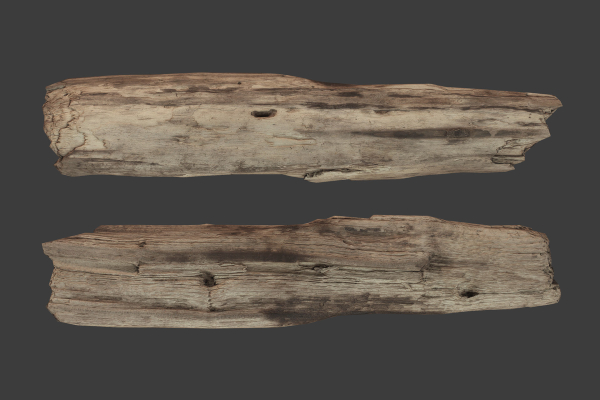 Scanned Logs Planks Sticks and Stumps