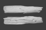 Scanned Logs Planks Sticks and Stumps