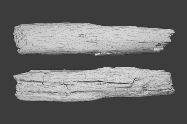 Scanned Logs Planks Sticks and Stumps