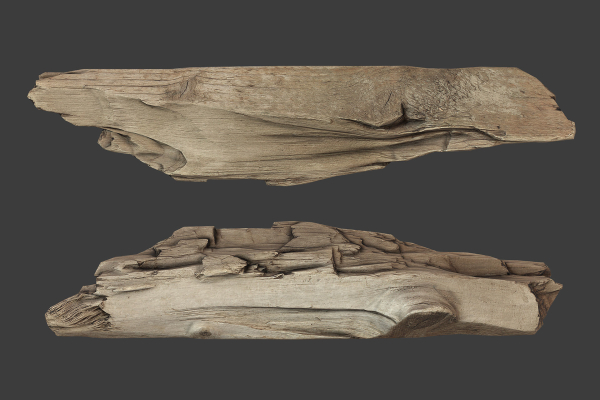 Scanned Logs Planks Sticks and Stumps