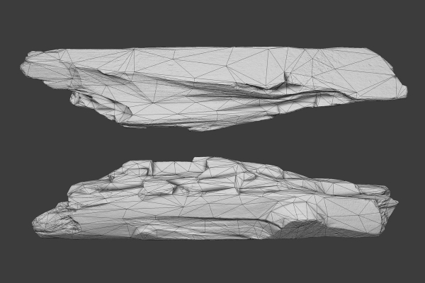 Scanned Logs Planks Sticks and Stumps