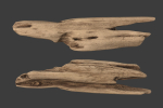 Scanned Logs Planks Sticks and Stumps