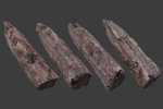 Scanned Logs Planks Sticks and Stumps