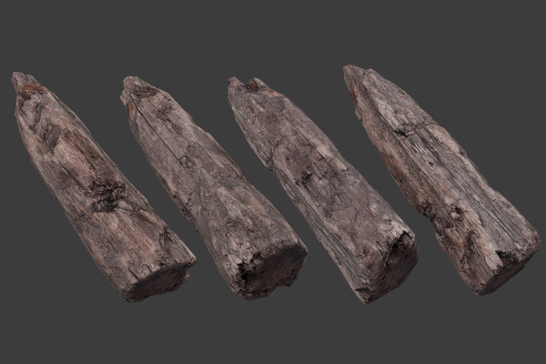 Scanned Logs Planks Sticks and Stumps