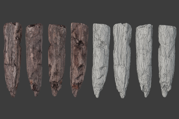 Scanned Logs Planks Sticks and Stumps