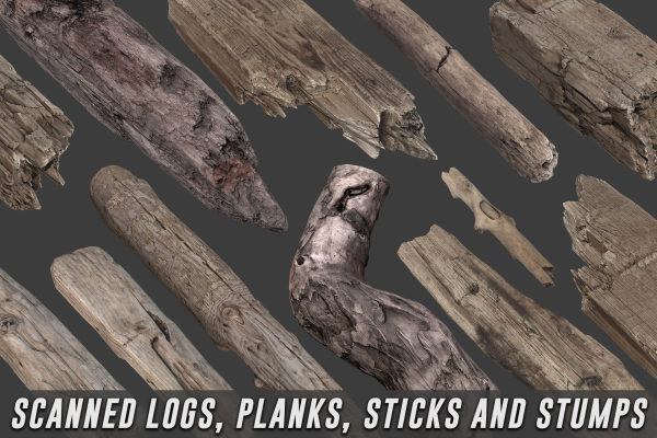 Scanned Logs Planks Sticks and Stumps