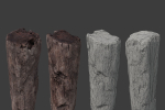 Scanned Logs Planks Sticks and Stumps