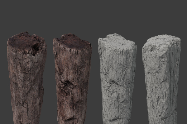 Scanned Logs Planks Sticks and Stumps