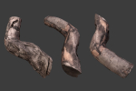 Scanned Logs Planks Sticks and Stumps