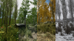 Scanned Poplar-Aspen Forest with Seasons for Unreal Engine 4 - 5