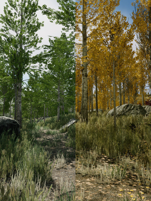 Scanned Poplar-Aspen Forest with Seasons for Unreal Engine 4 - 5