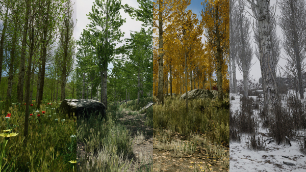Scanned Poplar-Aspen Forest with Seasons for Unreal Engine 4 - 5
