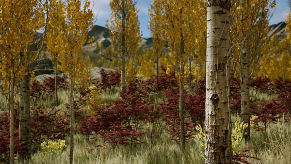 Scanned Poplar-Aspen Forest with Seasons for Unreal Engine 4 - 5