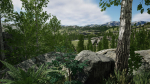 Scanned Poplar-Aspen Forest with Seasons for Unreal Engine 4 - 5