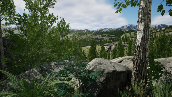 Scanned Poplar-Aspen Forest with Seasons for Unreal Engine 4 - 5