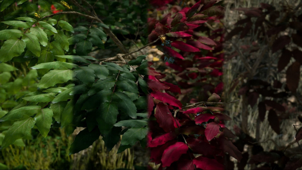 Scanned Poplar-Aspen Forest with Seasons for Unreal Engine 4 - 5