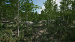 Scanned Poplar-Aspen Forest with Seasons for Unreal Engine 4 - 5