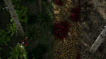 Scanned Poplar-Aspen Forest with Seasons for Unreal Engine 4 - 5