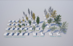 Scanned Poplar-Aspen Forest with Seasons for Unreal Engine 4 - 5