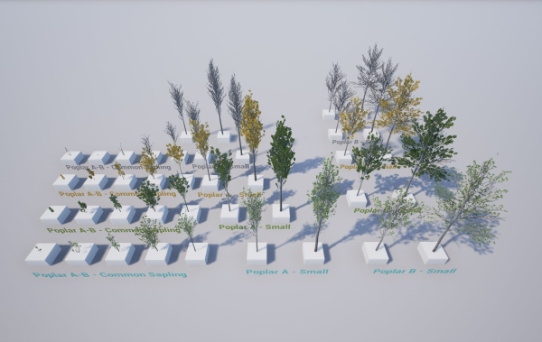 Scanned Poplar-Aspen Forest with Seasons for Unreal Engine 4 - 5