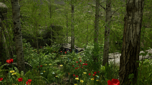 Scanned Poplar-Aspen Forest with Seasons for Unreal Engine 4 - 5