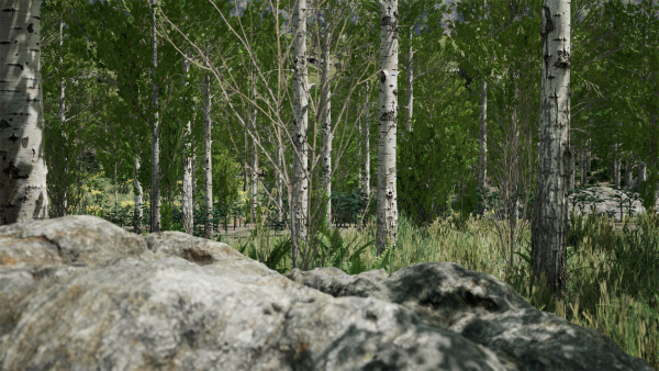Scanned Poplar-Aspen Forest with Seasons for Unreal Engine 4 - 5