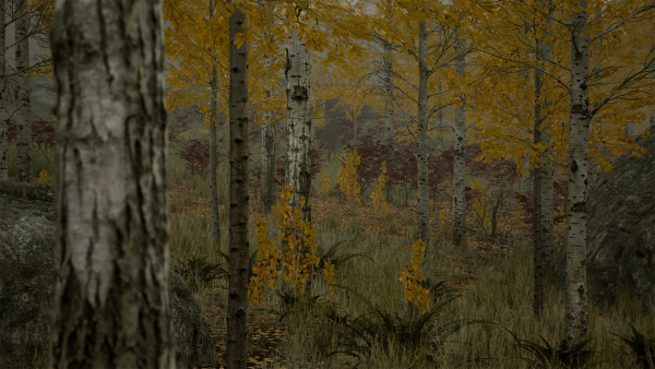 Scanned Poplar-Aspen Forest with Seasons for Unreal Engine 4 - 5