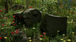 Scanned Poplar-Aspen Forest with Seasons for Unreal Engine 4 - 5
