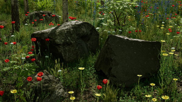 Scanned Poplar-Aspen Forest with Seasons for Unreal Engine 4 - 5