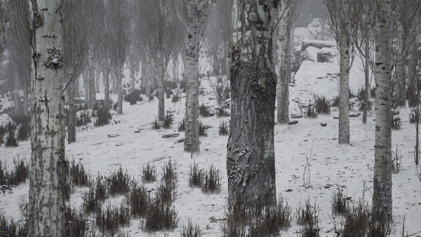 Scanned Poplar-Aspen Forest with Seasons for Unreal Engine 4 - 5