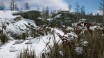 Scanned Poplar-Aspen Forest with Seasons for Unreal Engine 4 - 5