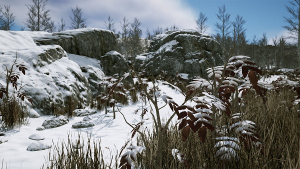 Scanned Poplar-Aspen Forest with Seasons for Unreal Engine 4 - 5