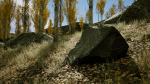 Scanned Poplar-Aspen Forest with Seasons for Unreal Engine 4 - 5