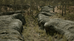Scanned Poplar-Aspen Forest with Seasons for Unreal Engine 4 - 5