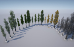 Scanned Poplar-Aspen Forest with Seasons for Unreal Engine 4 - 5