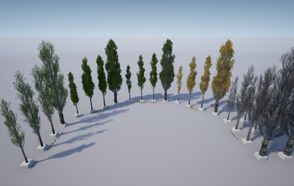 Scanned Poplar-Aspen Forest with Seasons for Unreal Engine 4 - 5