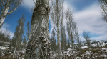 Scanned Poplar-Aspen Forest with Seasons for Unreal Engine 4 - 5