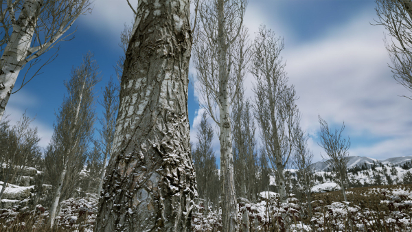 Scanned Poplar-Aspen Forest with Seasons for Unreal Engine 4 - 5