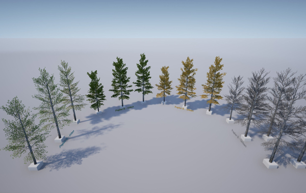 Scanned Poplar-Aspen Forest with Seasons for Unreal Engine 4 - 5