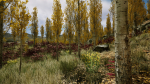 Scanned Poplar-Aspen Forest with Seasons for Unreal Engine 4 - 5