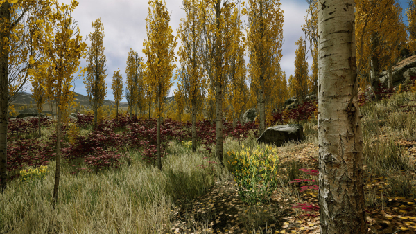Scanned Poplar-Aspen Forest with Seasons for Unreal Engine 4 - 5
