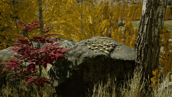 Scanned Poplar-Aspen Forest with Seasons for Unreal Engine 4 - 5