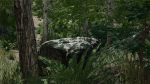 Scanned Poplar-Aspen Forest with Seasons for Unreal Engine 4 - 5