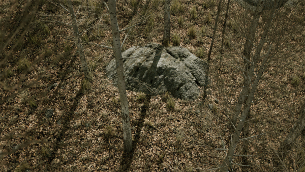 Scanned Poplar-Aspen Forest with Seasons for Unreal Engine 4 - 5
