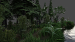 Scene river in forest