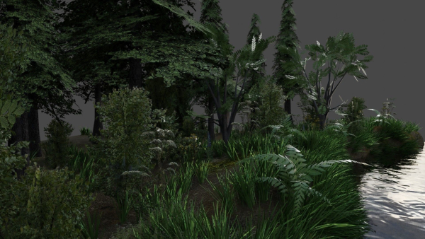 Scene river in forest